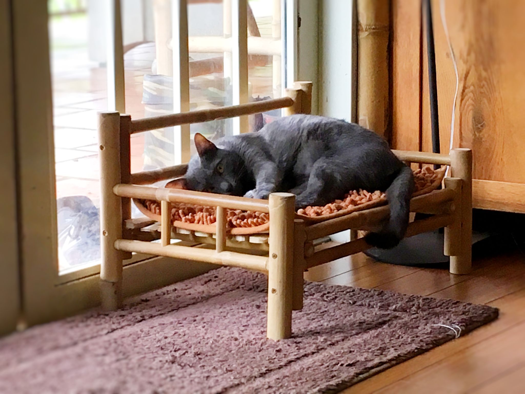 Bamboo Cat Bed | Bamboo Master