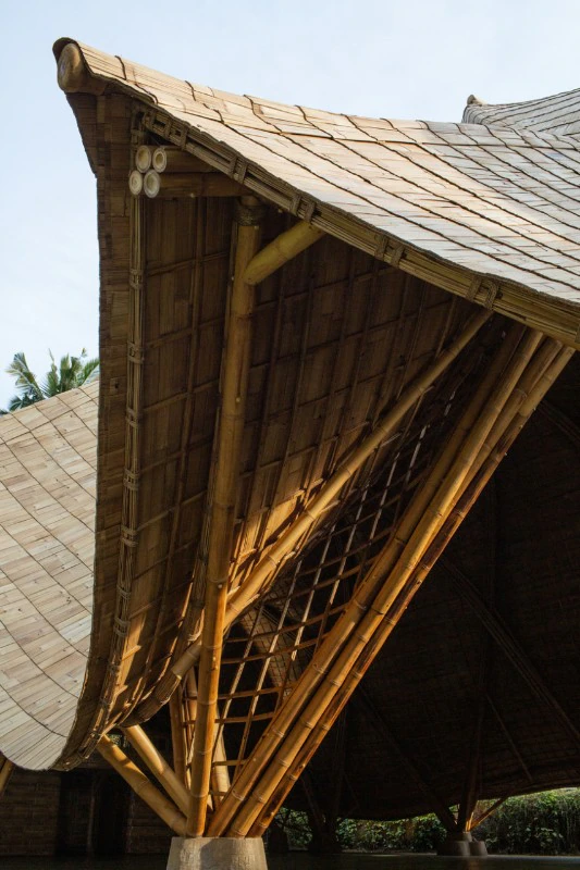 domus-the-arc-ibuku-11.jpg.foto.rmedium.png